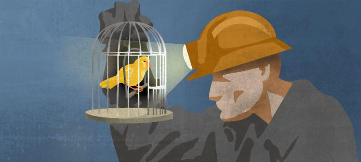 canary-in-coal-mine